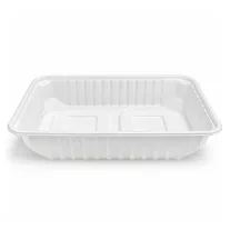 Szögletes Elviteles Doboz PP fehér 500 ml WM